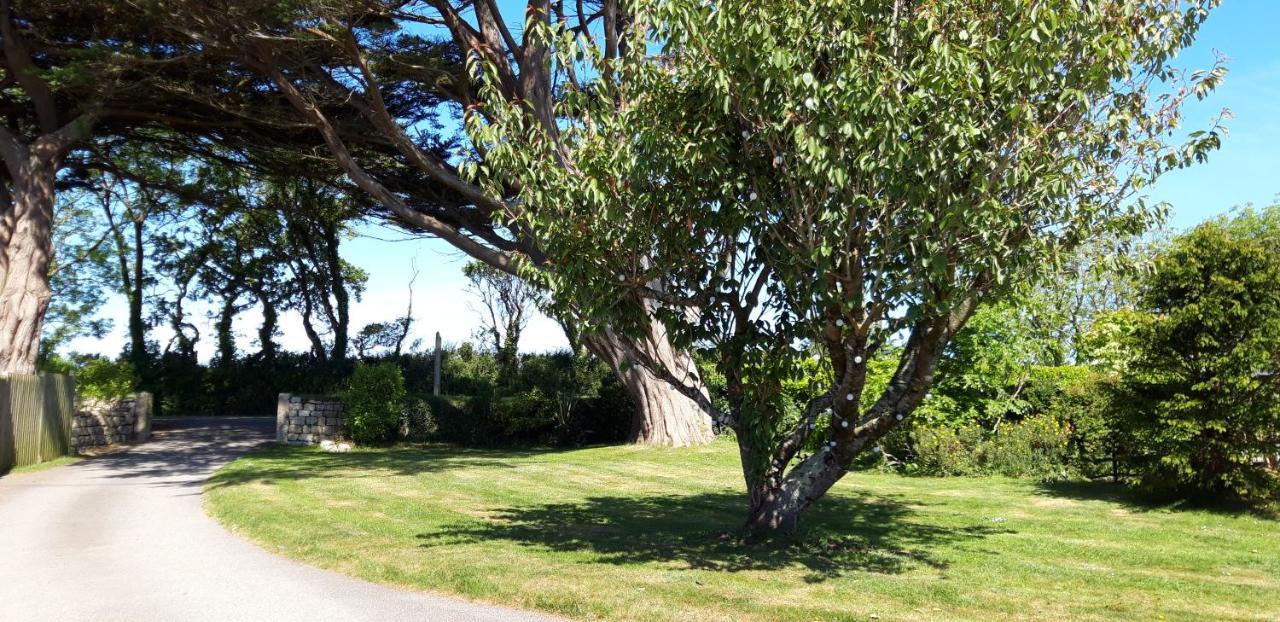 Villa Trelawne Garden Annexe Falmouth Exterior foto